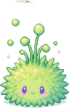苔藓种种