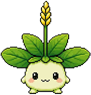 小芽芽